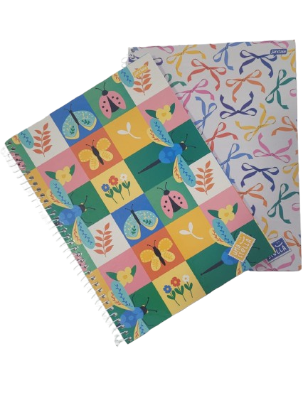 Caderno Universitário 1 Matéria